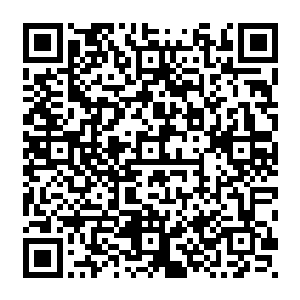 随后终于有一头渡劫期的妖兽再也不能看着炼虚境界的妖兽在这样看着陨落下去了二维码生成