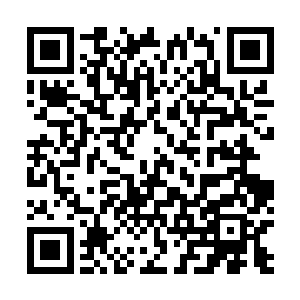 随后脑海中浮现无数有关东海龙族第一公主敖雨薇的事迹二维码生成