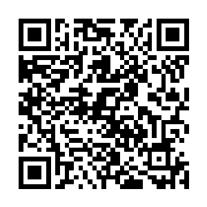 随手在景区的商店里买了一个好大的棉花糖给秀秀拿在手里二维码生成