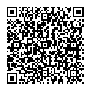 随此动作而后那鼓槌在不断掂动下幻化出无数虚影而后被其手中涌起魔光激发下由尺许化作数尺长短二维码生成