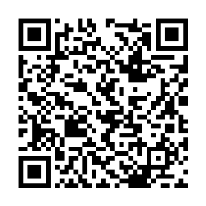 随着臻至混元始境的攻击一波又一波的冲击着阵法二维码生成