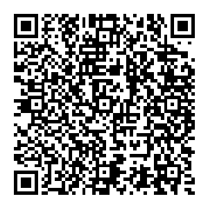 随着血魔指的爆发风清扬透明的眸子瞬间化作了红色看似恐怖可并不能从他身上感受到一星半点的扭曲有的仅仅是不屈之意二维码生成