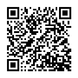 随秦林一行抵京的威德法王和索南嘉措等等各色人物二维码生成