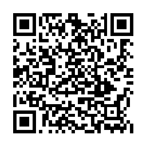 随随便便就能解开裤头拎枪干上的真没啥稀罕的二维码生成