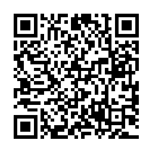 随随便便拿一件出来就抵得上他在玄黄小天界内的收获了二维码生成