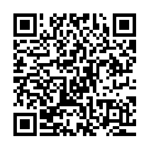 隐藏在叶尊体内已经很久都没有触动的魔意仿佛是在渐渐苏醒了二维码生成