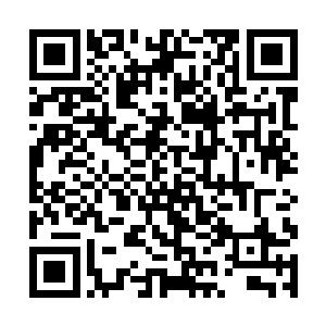 隐藏在暗处原本准备伺机而动的高品神级看到这一幕二维码生成