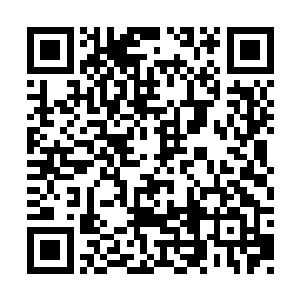 隔三差五会跑到褚冰冰管理的那家餐厅去做表演二维码生成