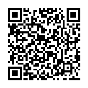 难不成理查德家族之中有你们圣廷的红衣大主教二维码生成