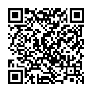 难不成这无尽海之中还有什么东西是值得他们留下来的吗二维码生成