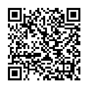 难得给自己倒了一碗让伙计从酒缸底下捞起来的杏花儿酒糟二维码生成