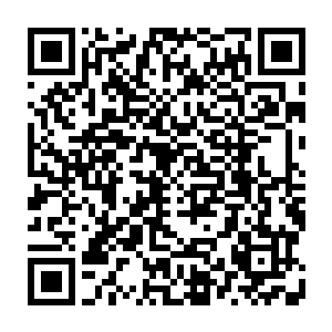 难得被清云先生放假回来的墨小宝再次被无良的老爹欺负的眼睛湿漉漉的二维码生成