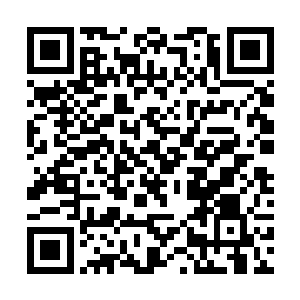 难道…难道是北极冰神殿的至尊人物在暗中出手……二维码生成