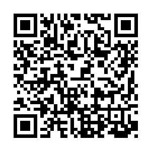 难道你不好奇我们是怎么得到你家的电话号码吗二维码生成