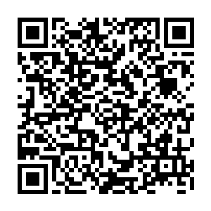 难道你们愿意让它一天天的衰落下去到最后一文不值还要被供应商联名告上法庭二维码生成