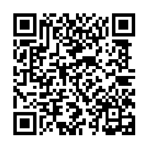 难道你想让你的岳父岳母两个老人家在燕城孤孤单单的过年吗二维码生成