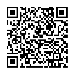难道你看不见那一枝独秀的花已经开在咱们头上了二维码生成