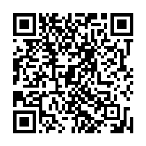 难道你真以为是因为你帮着薰兒掩盖身份才留你一条命的吗二维码生成