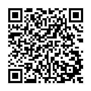 难道就不怕巨象仙宗的那些仙帝趁此时机将你我二人一同镇压你二维码生成
