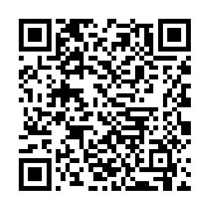 难道我们就这么任由那个家伙再次大摇大摆地离开燕京二维码生成