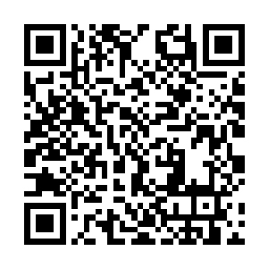 难道我要看着木兰他们活生生被毒死却无能为力吗……二维码生成