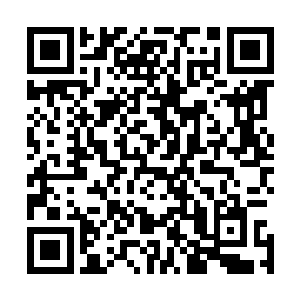 难道没有人教过你在执行任务的时候不要质疑上级的命令吗二维码生成