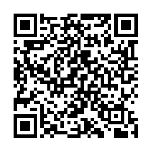 难道还真大张旗鼓的彻查审案不成重生日本做游戏全文阅读二维码生成