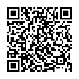 雨果却是一点都不在于卡尔提起自己曾经和朗合作的事情二维码生成