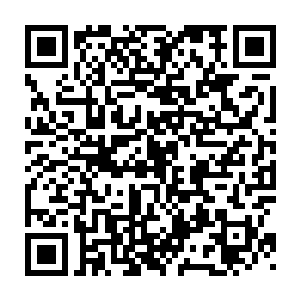 雨果却看到了坐在路口便利店门前塑料椅子上的尼古拉斯一麦克伦二维码生成