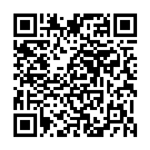 雨果在这部作品里的杰出表现也会增加学院评委的印象分二维码生成