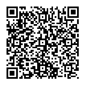 雨果想起了以前在恩斯特家看到的那些剧本――其实恩斯特从来没有真正离开过好莱坞二维码生成