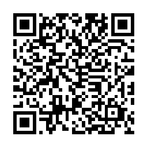 雨果脸上的笑容也就在那绚烂的灯光之中彻底绽放了开来二维码生成
