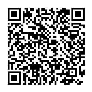 雨纷飞和神乐被龙傲天吩咐去用树枝做好的鱼叉在小河里面捕鱼去了二维码生成