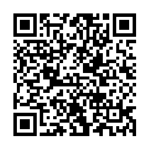 雪儿轻叫了一声倒是开始轻舔起我已经木涨的手指二维码生成