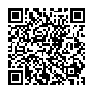 雷天哪一次不是付出了巨大的努力才换来了最终的一点点线索二维码生成