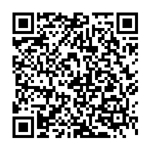 雷天能够感觉到五个妖霸的灵识一次接一次的从他所在的地方扫过二维码生成