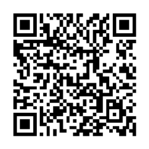 雷林也感受到了一股庞大生命能量已经被自己完全汲取二维码生成