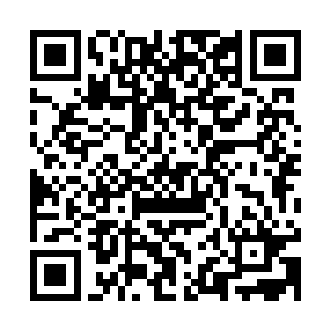 雷林可以肯定对方一定有着某段不堪回首的往事和火焰王座有关二维码生成