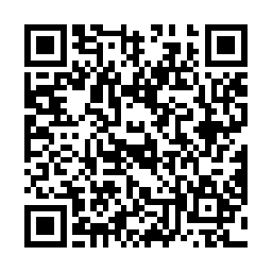 雷林就知道了这种寒冰世界生物是以体质和力量见长的二维码生成