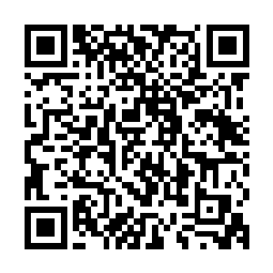 雷林已经将自己的权威慢慢渗透到了衔尾蛇之环的方方面面当中二维码生成