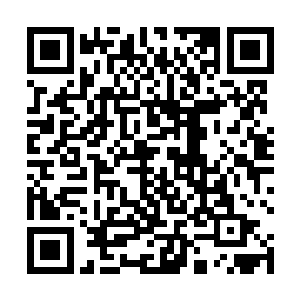 雷林当然之前也考虑过利用飞行术通过这片区域的办法二维码生成