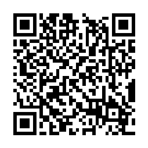 雷林看着桌子上散乱而又隐约有着秩序的大堆文稿二维码生成