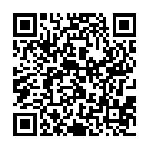 雷林这下总算知道了这些传奇强者为什么会汇聚到这里了二维码生成