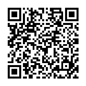 雷欢喜果断的帮着兰尼特隐瞒了其实他也来见过自己的事实二维码生成