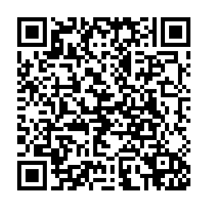 雷欢喜还是生平第一次见到这种拥有智慧和战术能力的神经病的蝙蝠二维码生成