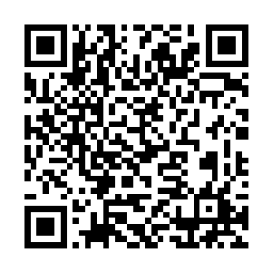 雷电带去的抽搐和麻木都会让他们的行动停滞了一瞬二维码生成