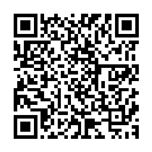 雷萨共和国愿意成为穆神将军在西方大陆最坚实的朋友和伙伴二维码生成