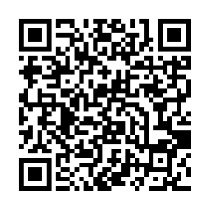 震武门所有人都再也没见过副门主真正发威时的力量二维码生成