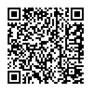 震荡着叶翔体外的玄枯劲……虽然秦方的手掌都被拍的有些红肿了二维码生成