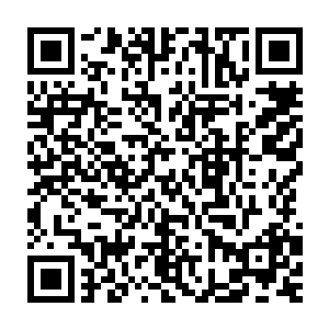 霍君白只觉得无穷无尽的真气犹如大河决堤一般从刀无双手上传输进来二维码生成